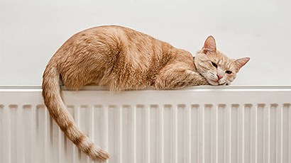 暖氣小妙用，沒裝暖氣的你后悔了嗎？